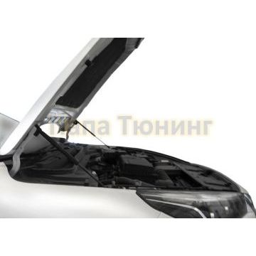 Амортизаторы капота АвтоУпор 2 шт для Jac J7 2021-