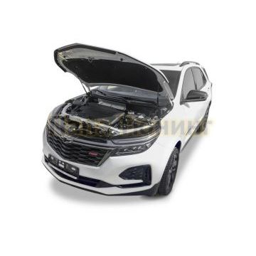 Амортизаторы капота АвтоУпор 2 шт Chevrolet Equinox 2020-