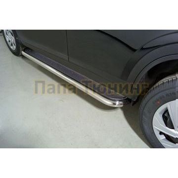 Пороги с площадкой (нерж. лист) 60,3 мм ТСС для Haval Dargo 2022- Пороги с площадкой (нерж. лист) 60,3 мм ТСС для Haval Dargo 2022-