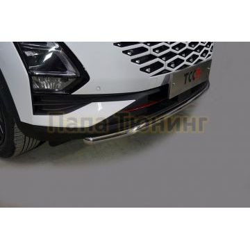 Защита передняя нижняя 42,4 мм ТСС для Omoda C5 2022-