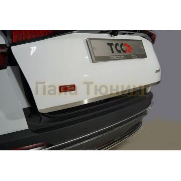 Накладка на заднюю дверь (лист шлифованный) ТСС для Omoda C5 2022-