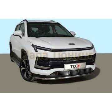 Защита передняя нижняя 42,4 мм ТСС для Москвич 3 2022-