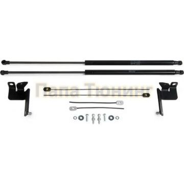 Амортизаторы капота АвтоУпор (2 шт.) Toyota Highlander 2020-