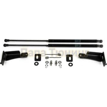 Амортизаторы капота АвтоУпор (2 шт.) Nissan Pathfinder 2014-