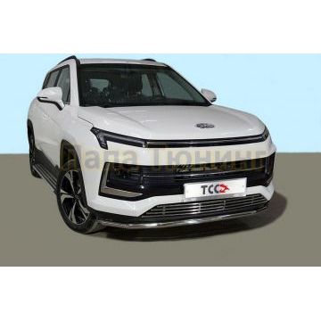 Защита передняя нижняя 42,4 мм ТСС для JAC JS4 2022-