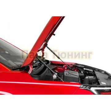 Амортизаторы капота АвтоУпор (2 шт.) Jac JS4 /Москвич 3/3е (2022-)