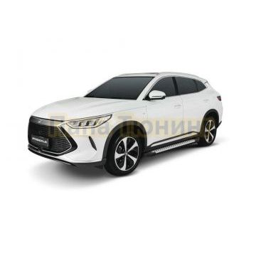 Порог-площадка "Bmw-Style" D180AL + комплект крепежа, RIVAL, BYD Song Plus 2023-