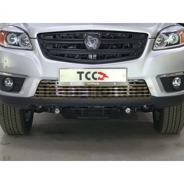 Решетка радиатора 12 мм ТСС для Sollers ST6 2023- Решетка радиатора 12 мм ТСС для Sollers ST6 2023-