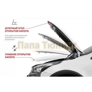 Амортизаторы капота АвтоУПОР (2 шт.) Changan CS55 Plus (2021-)/Changan CS55 (2019-)