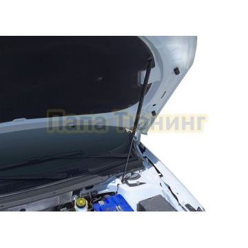 Амортизаторы капота АвтоУпор (2 шт.) Kaiyi E5 (2021-)