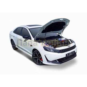 Амортизаторы капота АвтоУпор (2 шт.) Kaiyi E5 (2021-)