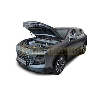 Амортизаторы капота АвтоУпор (2 шт.) Jetour Dashing (2022-)