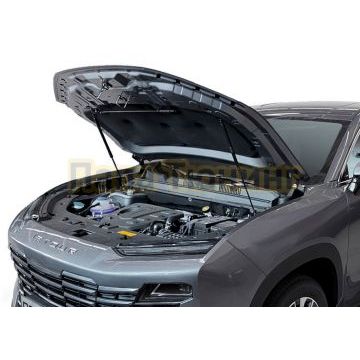 Амортизаторы капота АвтоУпор (2 шт.) Jetour Dashing (2022-)
