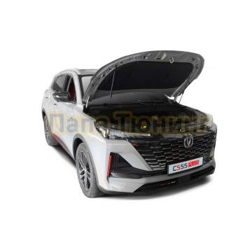 Амортизаторы капота АвтоУПОР (2 шт.) Changan CS55 Plus (2021-)/Changan CS55 (2019-)