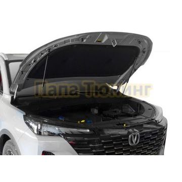 Амортизаторы капота АвтоУПОР (2 шт.) Changan CS55 Plus (2021-)/Changan CS55 (2019-)