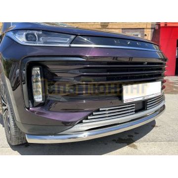 Решетка передняя нижняя d16 Папа Тюнинг для Exeed TXL 2021-