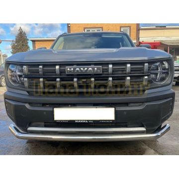 Защита переднего бампера Папа Тюнинг d60 Haval H3 2024-