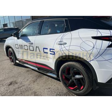 Пороги труба с проступью d76 Папа Тюнинг для Omoda C5 2022-