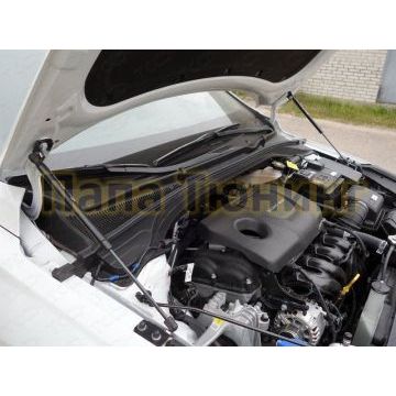 Упор капота ТСС комплект для Hyundai i30 2017-2019
