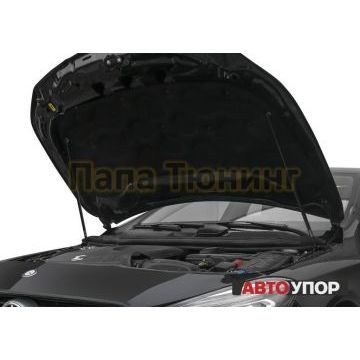 Упоры капота АвтоУпор 2 штуки для Mercedes-Benz CLA-Class C117 2013-2019