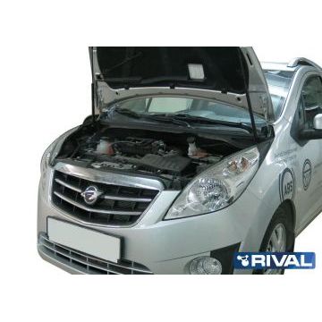 Упоры капота Rival 2 штуки для Ravon R2 2016-