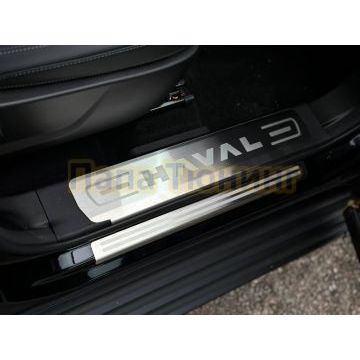 Накладки на пластиковые пороги (лист шлифованный надпись Haval) 2шт ТСС для Haval H7 2024-