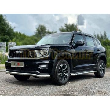 Пороги с площадкой (нерж. лист) 60,3 мм ТСС для Haval H7 2024- Пороги с площадкой (нерж. лист) 60,3 мм ТСС для Haval H7 2024-