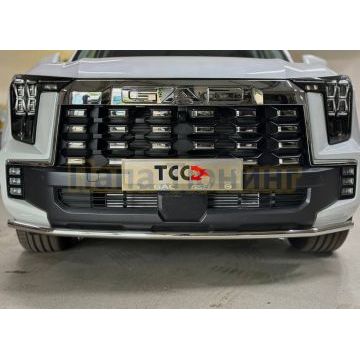 Защита передняя нижняя 42,4 мм ТСС для Gac GS8 2025-