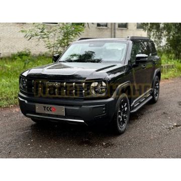 Пороги алюминиевые с пластиковой накладкой (карбон черные) 1720 мм ТСС для Haval H3 2024-