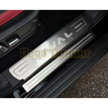Накладки на пороги (лист шлифованный с полосой) 4шт ТСС для Haval H3 2024-