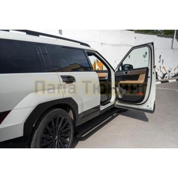 Пороги выдвижные электрические ОЕМ для Hyundai Santa Fe V 2024-