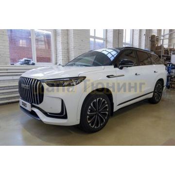 Пороги выдвижные электрические ОЕМ для Jaecoo J8 2024-