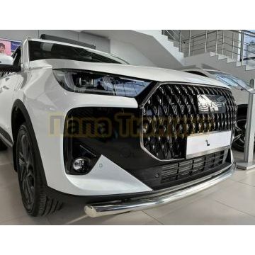 Защита переднего бампера Папа Тюнинг d60 для TENET T7 2025-