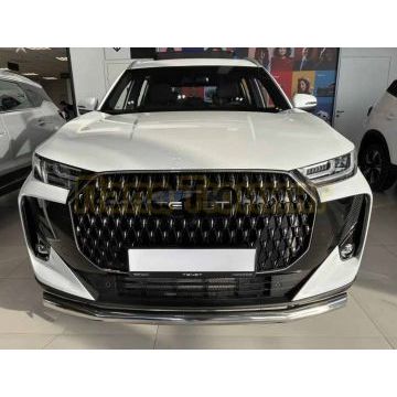 Защита переднего бампера Папа Тюнинг d60 для TENET T7 2025-