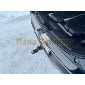 Накладка на задний бампер (лист шлифованный с полосой) 2шт ТСС для Tenet T8 4WD 2025-