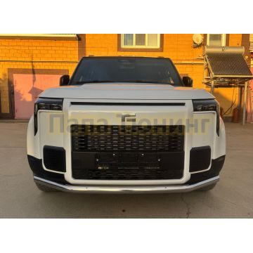 Защита переднего бампера Папа Тюнинг d60 для ROX 01 2024-