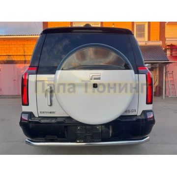 Защита заднего бампера Папа Тюнинг d60 для ROX 01 2024-