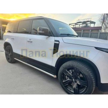 Защита штатного порога труба Папа Тюнинг d60 для ROX 01 2024-