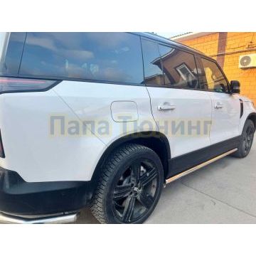 Защита штатного порога труба Папа Тюнинг d60 для ROX 01 2024-