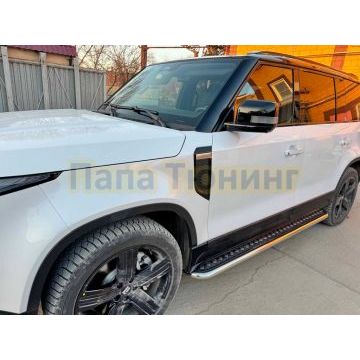 Пороги с накладным листом Папа Тюнинг d53 для ROX 01 2024-