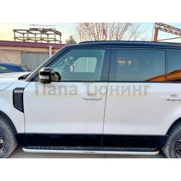 Пороги с накладным листом Папа Тюнинг d53 для ROX 01 2024-