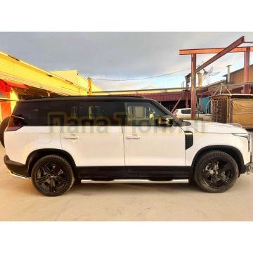 Пороги труба с проступью Папа Тюнинг d76 для ROX 01 2024-