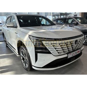 Пороги с накладным листом Папа Тюнинг d53 для Changan CS75 Plus IV 2025-
