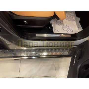 Пороги с накладным листом Папа Тюнинг d53 для JAECOO J8 2024-