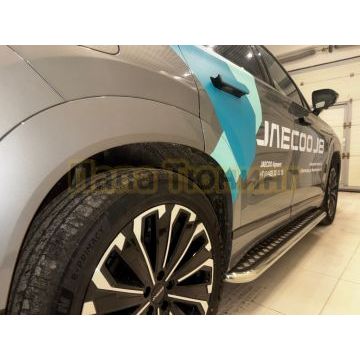 Пороги с накладным листом Папа Тюнинг d53 для JAECOO J8 2024-