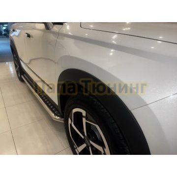 Пороги с накладным листом Папа Тюнинг d53 для JAECOO J7 2025- Рестайлинг
