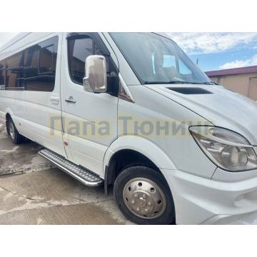 Ступень пассажирская Папа Тюнинг d53 для MERCEDES-BENZ Sprinter 2012-