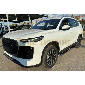 Пороги труба с проступью Папа Тюнинг d76 для Tenet T8 2025-