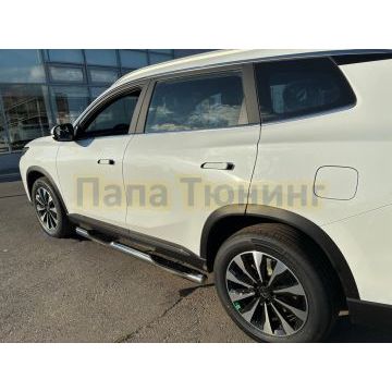 Пороги труба с проступью Папа Тюнинг d76 для Tenet T8 2025-