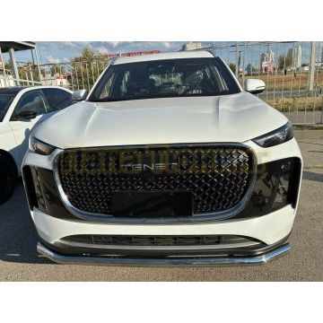 Защита переднего бампера Папа Тюнинг d60 для Tenet T8 2025-